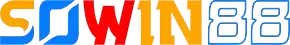 Sowin3 com